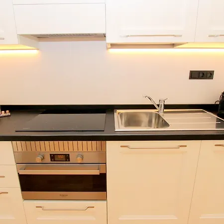 Apartment Luxury Krocinova Prague